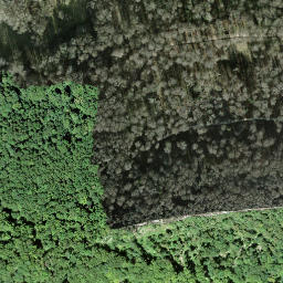 Satellite imagery of Lägernsattel, CH