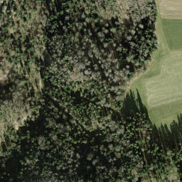 Satellite imagery of Schloss Elgg, CH