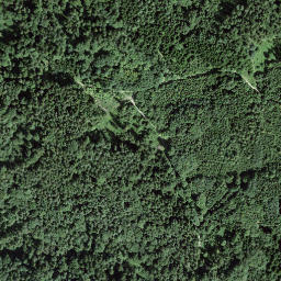 Satellite imagery of boundary_stone, CH