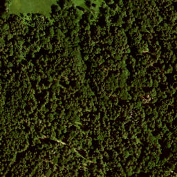 Satellite imagery of Hirzeneck, DE