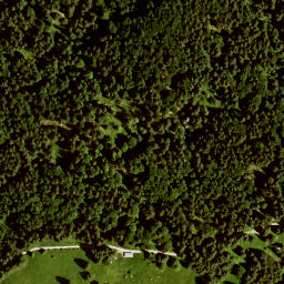 Satellite imagery of Hirzeneck, DE