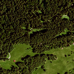 Satellite imagery of Hirzeneck, DE