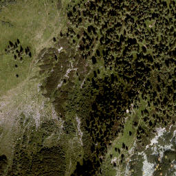 Satellite imagery of Diewaldgupf, AT