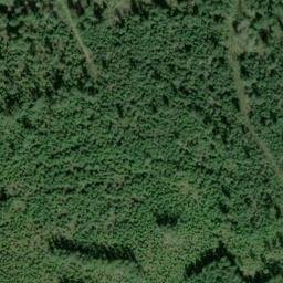 Satellite imagery of ER 21 — NGS SX1419 — King County, US, US