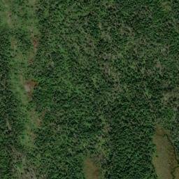 Satellite imagery of Black Head Hill, CA