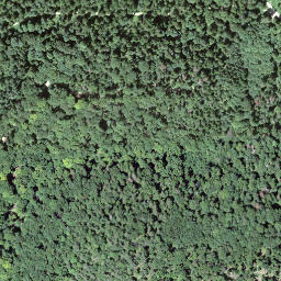 Satellite imagery of boundary_stone, CH