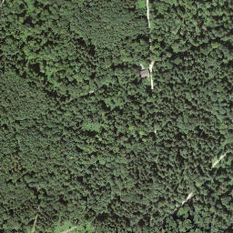 Satellite imagery of Bözberg, CH