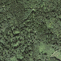 Satellite imagery of Bözberg, CH