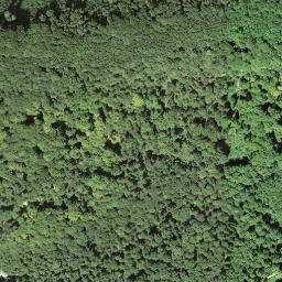 Satellite imagery of Lägernsattel, CH