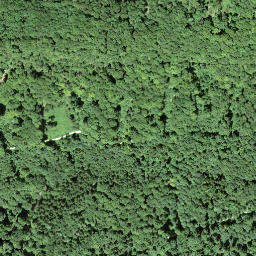 Satellite imagery of Lägernsattel, CH