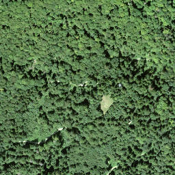 Satellite imagery of Lägernsattel, CH