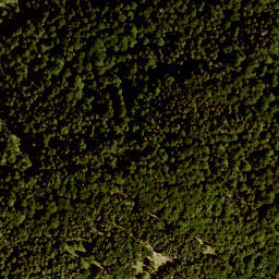 Satellite imagery of Gschwandeck, DE