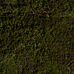 Satellite imagery of Gschwandeck, DE