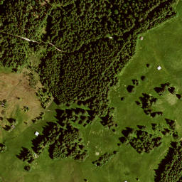 Satellite imagery of Hirzeneck, DE
