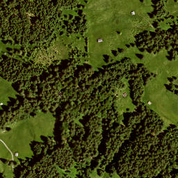 Satellite imagery of Hirzeneck, DE