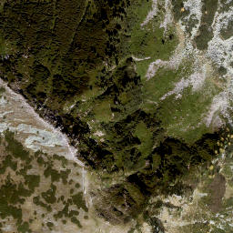 Satellite imagery of Diewaldgupf, AT