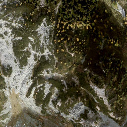 Satellite imagery of Diewaldgupf, AT