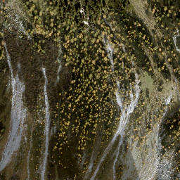 Satellite imagery of Diewaldgupf, AT