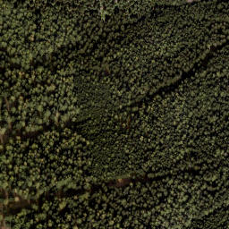 Satellite imagery of Poirer Riegel, AT