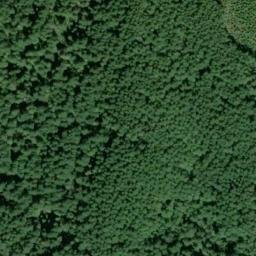 Satellite imagery of ER 20 — NGS SX1420 — King County, US, US