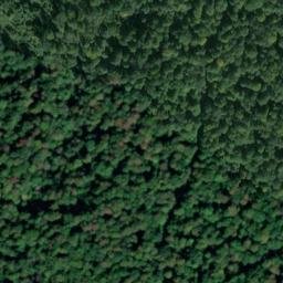 Satellite imagery of Borne n°111, FR