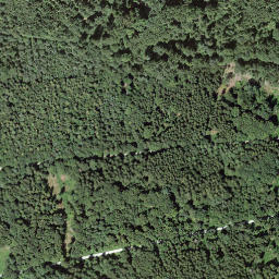 Satellite imagery of Aussichtsturm Baldegg (34m), CH