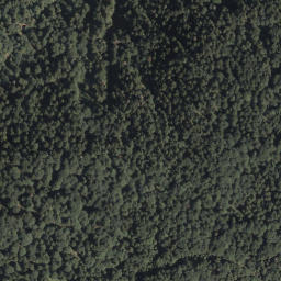 Satellite imagery of Miesingberg, DE