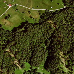 Satellite imagery of Hirzeneck, DE