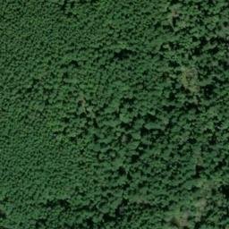 Satellite imagery of ER 19 — NGS SX1421 — King County, US, US