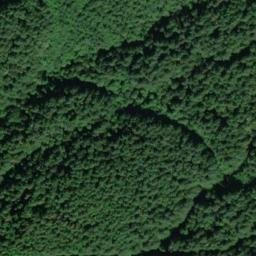 Satellite imagery of RIBARY — NGS SX1317 — King County, US, US