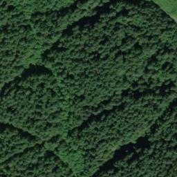Satellite imagery of RIBARY — NGS SX1317 — King County, US, US