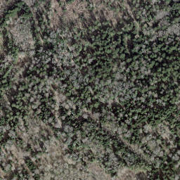 Satellite imagery of Borne 93, CH
