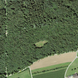 Satellite imagery of Aussichtsturm Baldegg (34m), CH