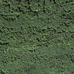 Satellite imagery of Aussichtsturm Baldegg (34m), CH