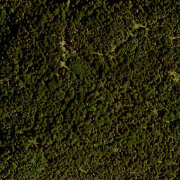 Satellite imagery of Zirmerskopf, DE
