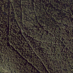 Satellite imagery of Arzberg, AT