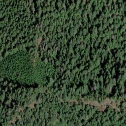 Satellite imagery of Prospect Ridge, US