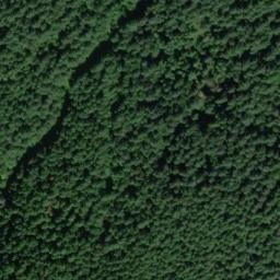 Satellite imagery of RIBARY — NGS SX1317 — King County, US, US