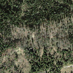 Satellite imagery of Maregg, CH