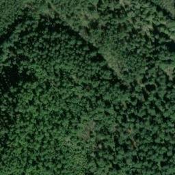 Satellite imagery of TIGER SOUTH — NGS SX1391 — King County, US, US