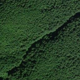 Satellite imagery of RIBARY — NGS SX1317 — King County, US, US