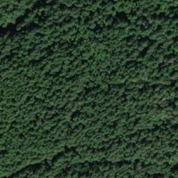 Satellite imagery of RIBARY — NGS SX1317 — King County, US, US