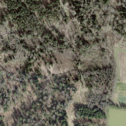 Satellite imagery of Borne 90, CH