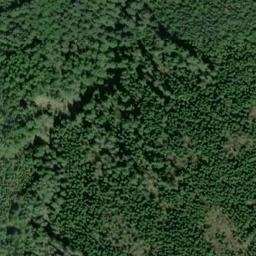 Satellite imagery of SHERWOOD — NGS SX1389 — King County, US, US