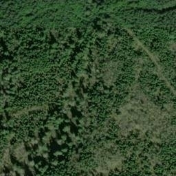 Satellite imagery of SHERWOOD — NGS SX1389 — King County, US, US