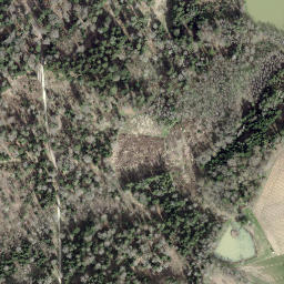 Satellite imagery of Borne 90, CH