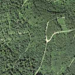 Satellite imagery of Homberg, CH