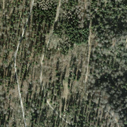 Satellite imagery of Rietbuck, CH