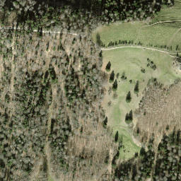 Satellite imagery of Schauenberg, CH