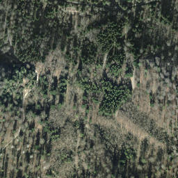 Satellite imagery of Rietbuck, CH